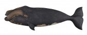 ROGER MITCHELL CARVED AND PAIN