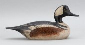 ROGER MITCHELL HOODED MERGANSE