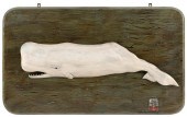 ROGER MITCHELL MOUNTED SPERM W