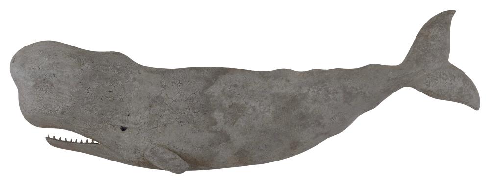 ROGER MITCHELL SPERM WHALE