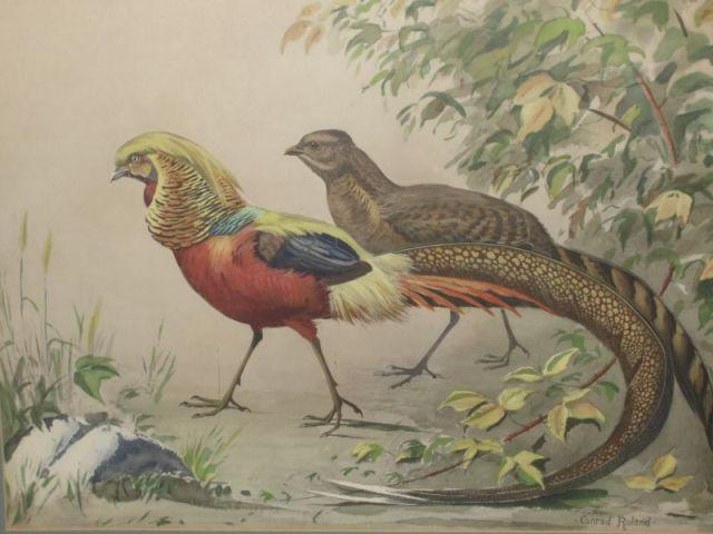 ROLAND, Conrad. Watercolor of Two