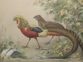 ROLAND, Conrad. Watercolor of