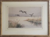 ROLAND GREEN WATERCOLOR ON PAP