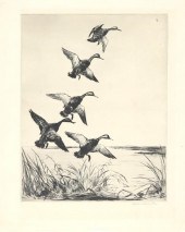 ROLAND H. CLARK (1874-1957)Bla