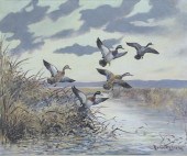 ROLAND H. CLARK (1874-1957)Mal