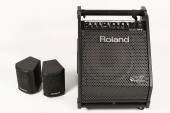 ROLAND PM-30 AMPLIFIER & 2 SAT