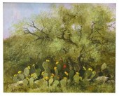 RON VAUGHAN (TX) CACTUS LANDSC
