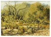 RON VAUGHAN (TX) QUAILS & CACT