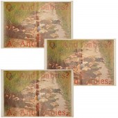RONALD HAEBERLE, (3) ANTI-WAR