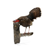 ROOSTING TURKEY TAXIDERMY<br>R