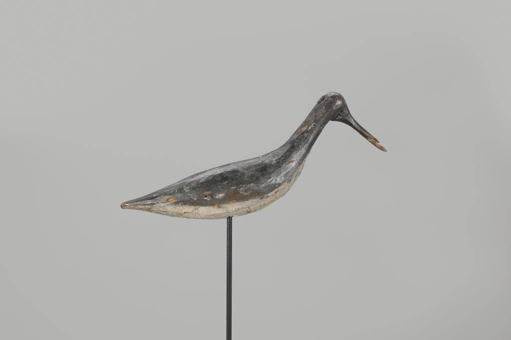 ROOT-HEAD SHOREBIRDAtlantic