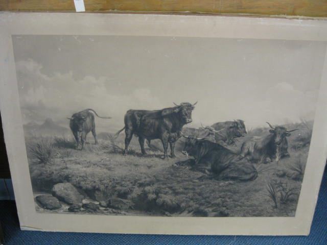 Rosa Bonheur Steel Engraving