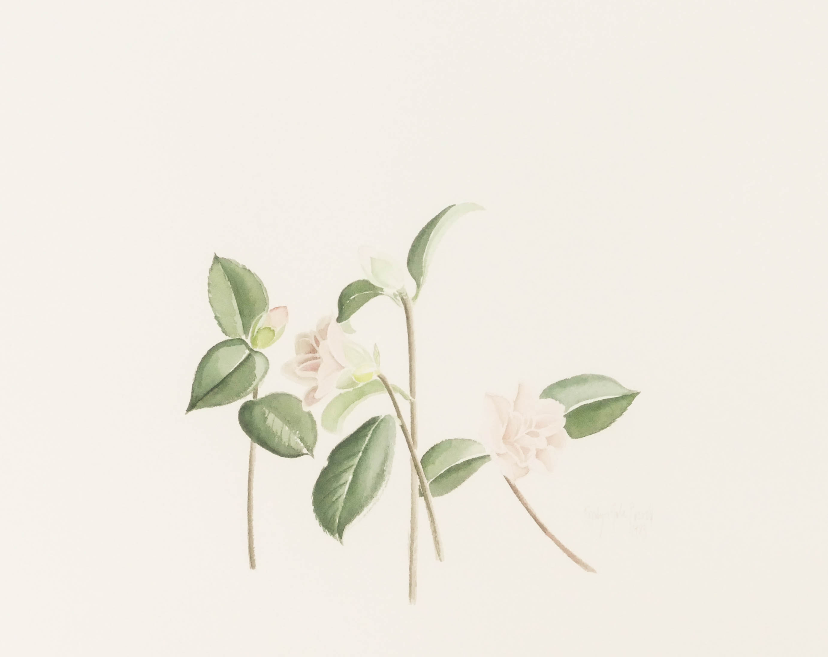 Rosalyn Gale Powell (1929-2007