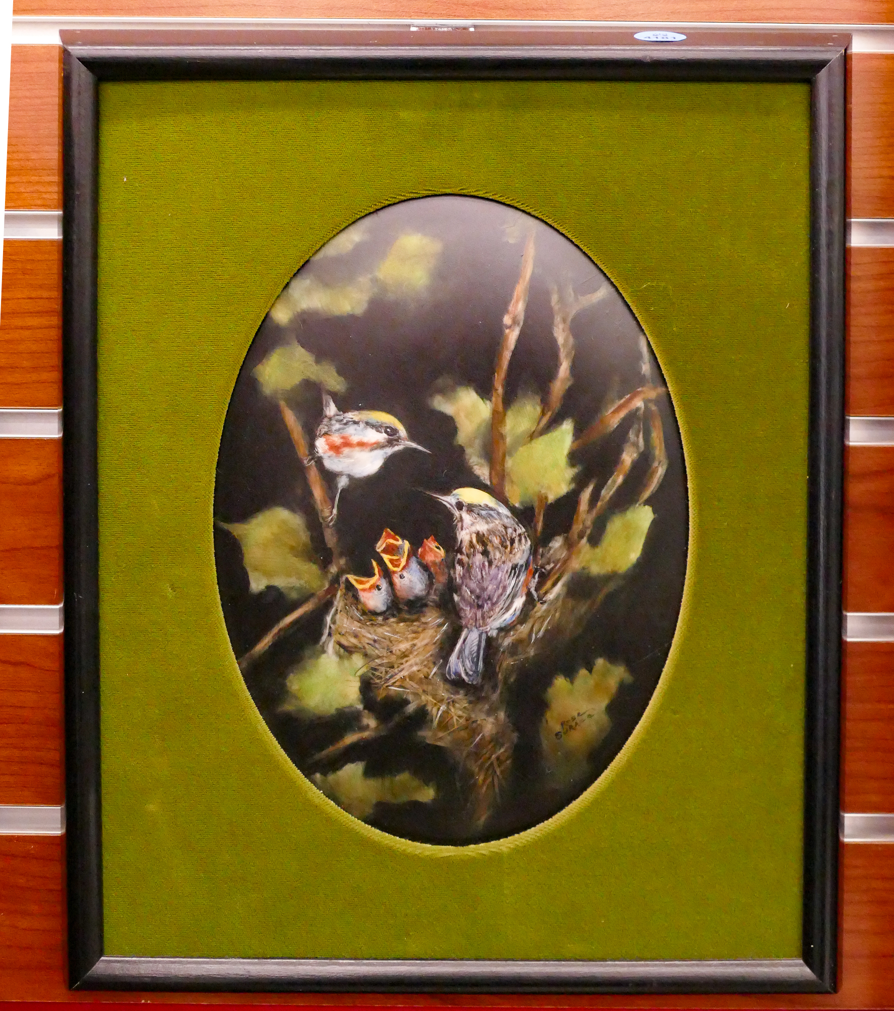 Rose Surace 'Chestnut Sidded