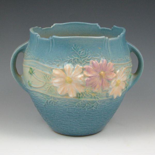 Roseville blue Cosmos