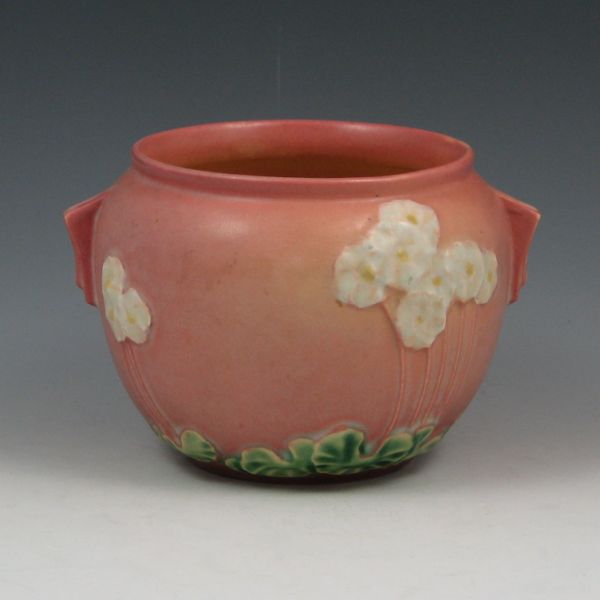 Roseville Primrose jardiniere in