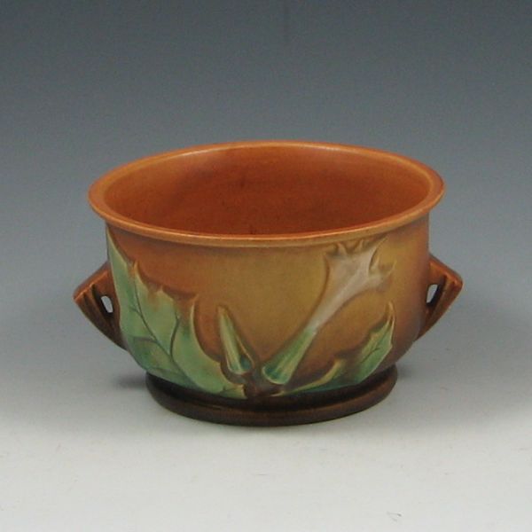 Roseville Thorn Apple 5'' Fern Dish