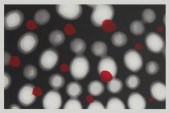 ROSS BLECKNER, (B. 1949, AMERI