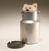 Roullet et Decamps French cat