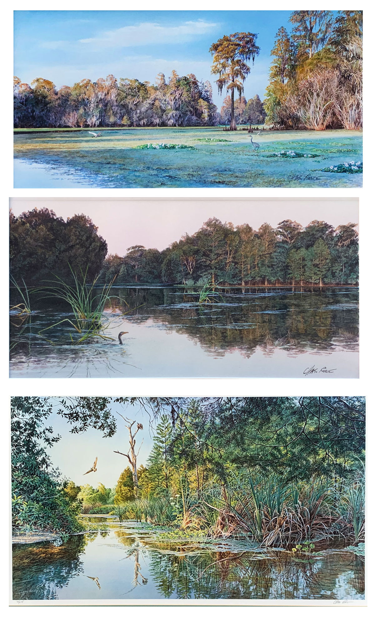 ROWE, Charles, (American, 1950):