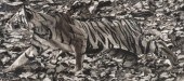 ROX CORBETT (BORN 1956) CHARCO