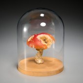 ROXY PAINE, MUSHROOM SCULPTURE