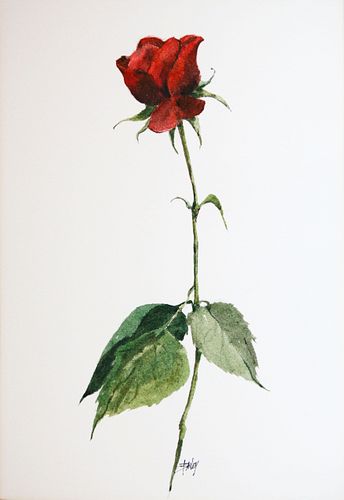 ROY BAILEY WATERCOLOR ON PAPER "A