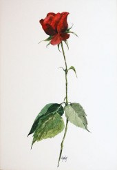 ROY BAILEY WATERCOLOR ON PAPER