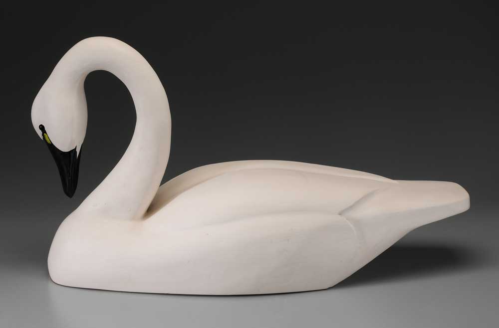 Roy White Swan Decoy North