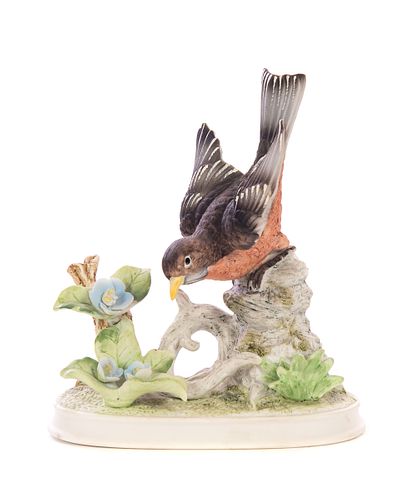 ROYAL CROWN ROBIN BIRDROYAL CROWN