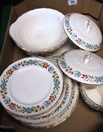 Royal Swan China Dinner Set White