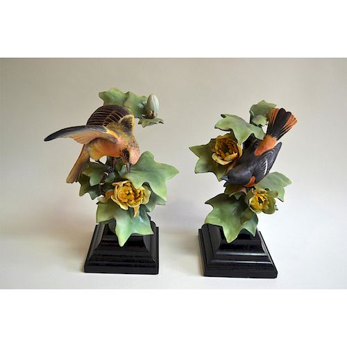 ROYAL WORCESTER BALTIMORE ORIOLES