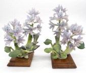 ROYAL WORCESTER DOROTHY DOUGHT