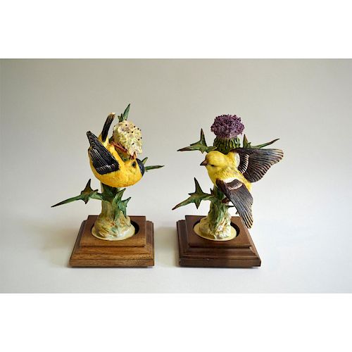 ROYAL WORCESTER GOLDFINCH AND