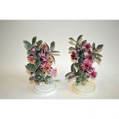 ROYAL WORCESTER MEXICAN FEIJOA