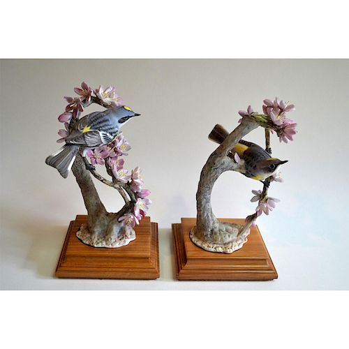 ROYAL WORCESTER MYRTLE WARBLERS AND