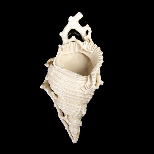 ROYAL WORCESTER SHELL CERAMIC