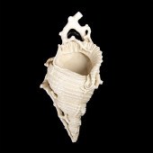 ROYAL WORCESTER SHELL CERAMIC