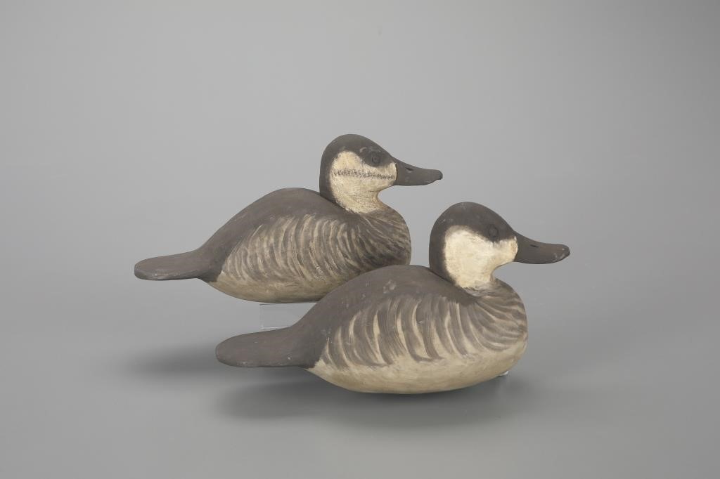 RUDDY DUCK PAIRDelbert "Cigar"