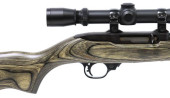 RUGER 10/22 CARBINE REBARRELED
