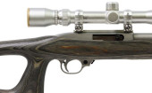 RUGER 10/22 CARBINE, STAINLESS