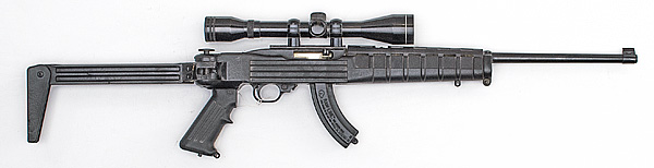 *Ruger 10/22 Semi Auto Rifle .22?LR