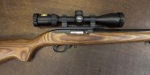 RUGER MODEL 10/22 TARGET MODEL