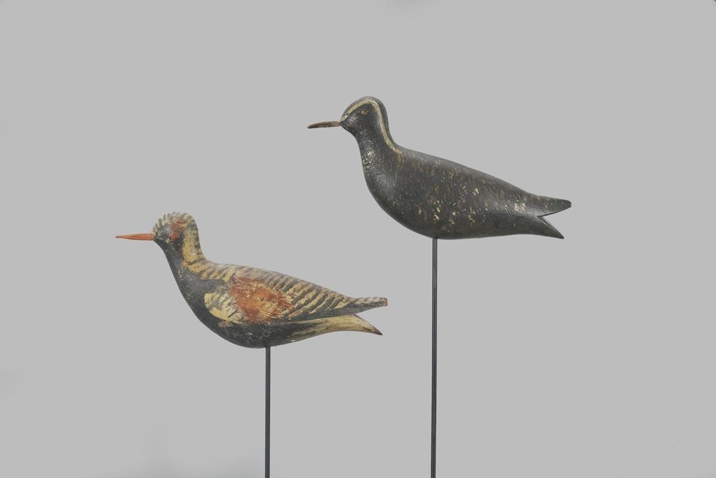 RUNNING GOLDEN AND BLACK-BELLIED