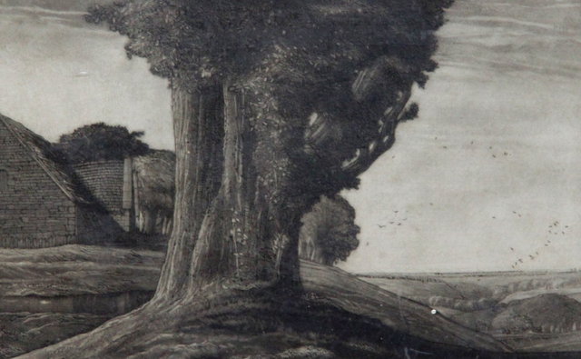 Russell Alexander Trees signed