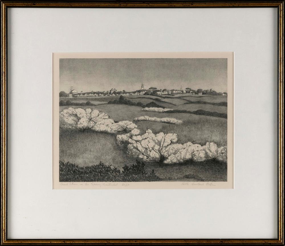 RUTH HAVILAND SUTTON
