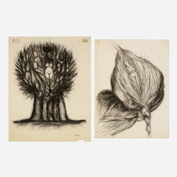 Ruth Ross. Onion with Sleeping