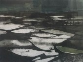 RUVAN ROSSEM, FROZEN RIVER, ET