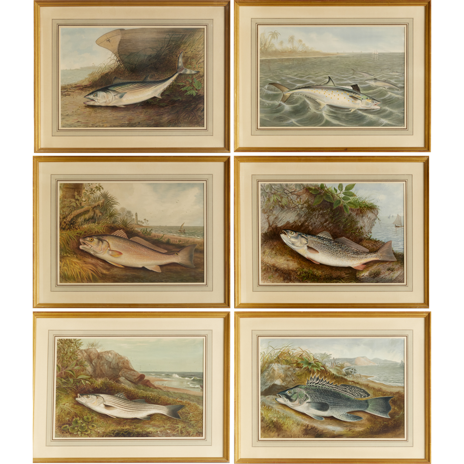 S. A. KILBOURNE, (6) FISH
