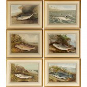 S. A. KILBOURNE, (6) FISH CHRO